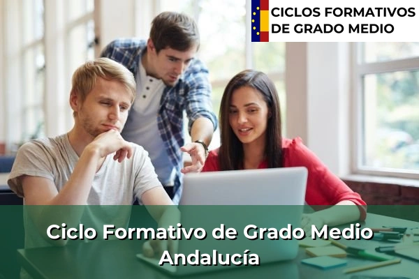 Ciclos Formativos Medios en la Comunidad de Madrid 45 Ciclos Formativos Medios en Andalucía