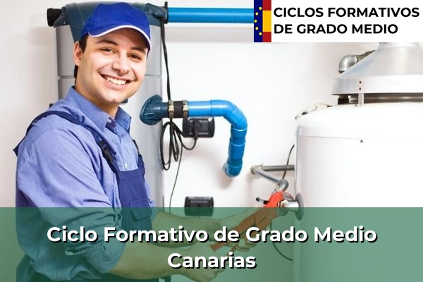 Ciclos Formativos Medios en la Comunidad de Madrid 48 Ciclos Formativos Medios en Canarias