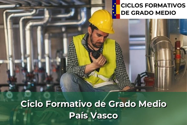 Ciclos Formativos Medios en la Comunidad de Madrid 62 Ciclos Formativos Medios en País Vasco