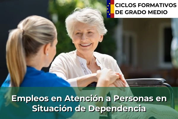 Empleos en el Área de Sistemas Microinformáticos y Redes 280 Empleos en el Área de Atención a Personas en Situación de Dependencia