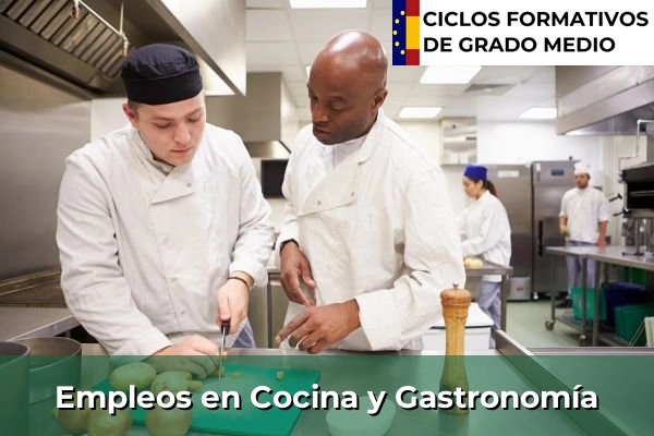 Empleos en el Área de Sistemas Microinformáticos y Redes 281 Empleos en el Área de Cocina y Gastronomía