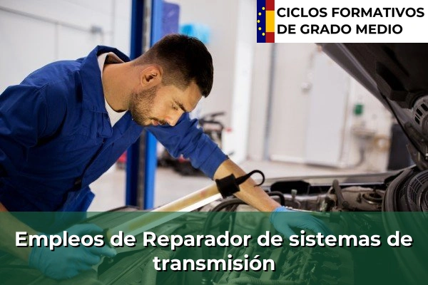 Empleo de Reparador de sistemas de transmisión