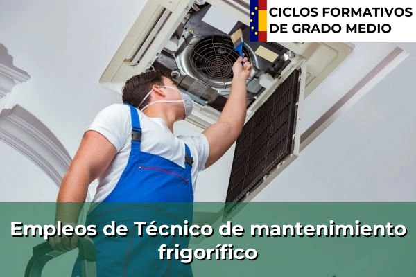 Empleo de Técnico de mantenimiento frigorífico