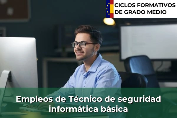 Empleo de Técnico de seguridad informática básica