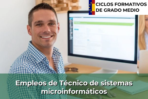 Empleo de Técnico de sistemas microinformáticos