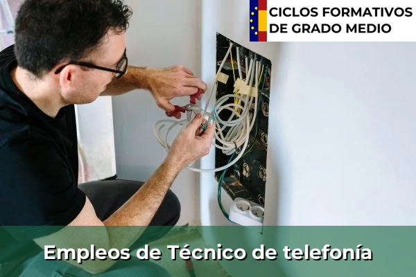 Empleo de Técnico de telefonía