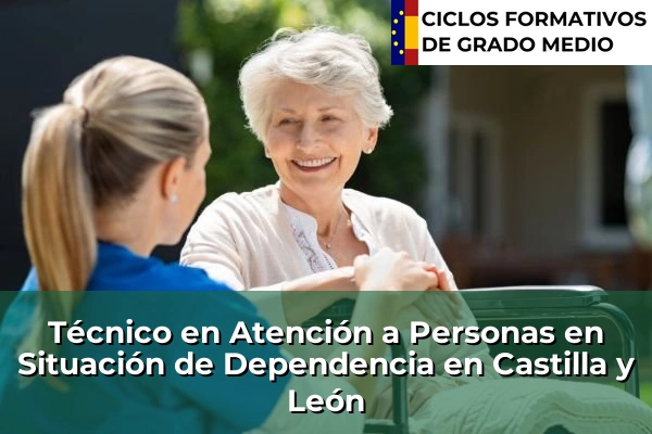 Técnico en Atención a Personas en Situación de Dependencia en Castilla y León