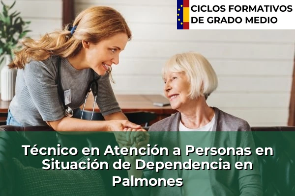 Técnico en Atención a Personas en Situación de Dependencia en Palmones