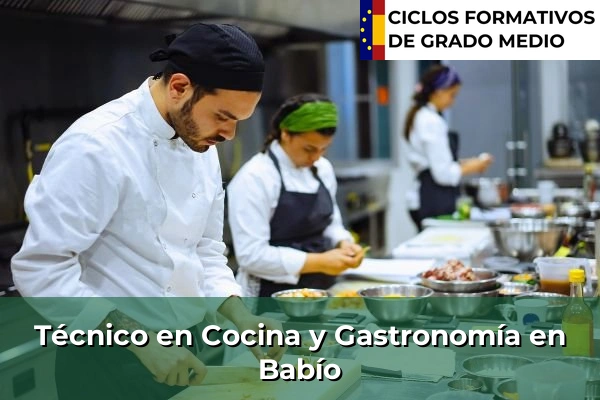 Técnico en Cocina y Gastronomía en Babío