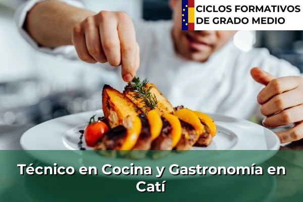 Técnico en Cocina y Gastronomía en Catí