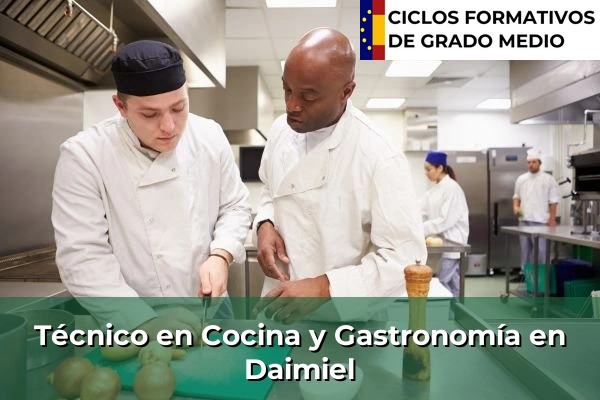 Técnico en Cocina y Gastronomía en Castilla-La Mancha 27 Técnico en Cocina y Gastronomía en Daimiel