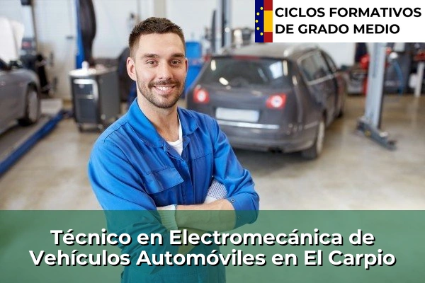 Técnico en Electromecánica de Vehículos Automóviles en El Carpio