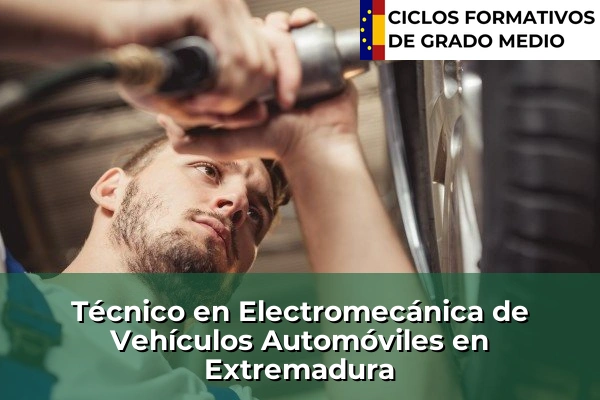 Técnico en Electromecánica de Vehículos Automóviles en Extremadura