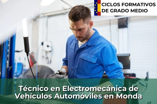 Técnico en Electromecánica de Vehículos Automóviles en Monda