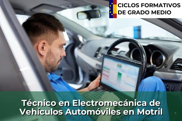 Técnico en Electromecánica de Vehículos Automóviles en Motril