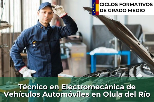 Técnico en Electromecánica de Vehículos Automóviles en Olula del Río