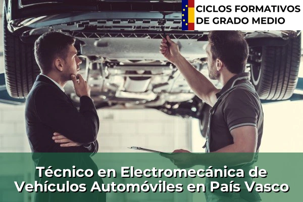 Técnico en Electromecánica de Vehículos Automóviles en País Vasco