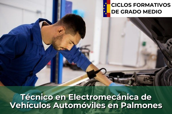 Técnico en Electromecánica de Vehículos Automóviles en Palmones