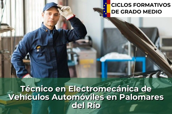 Técnico en Electromecánica de Vehículos Automóviles en Palomares del Río