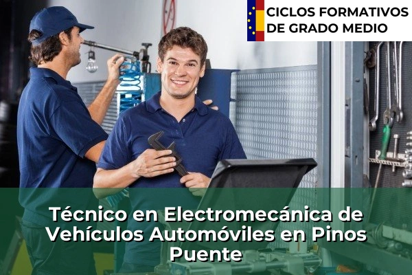 Técnico en Electromecánica de Vehículos Automóviles en Pinos Puente
