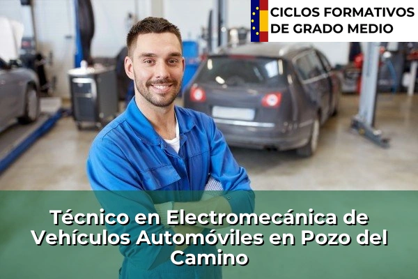 Técnico en Electromecánica de Vehículos Automóviles en Pozo del Camino