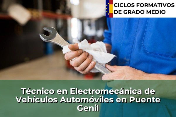 Técnico en Electromecánica de Vehículos Automóviles en Puente Genil
