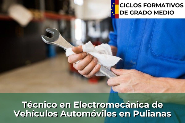 Técnico en Electromecánica de Vehículos Automóviles en Pulianas