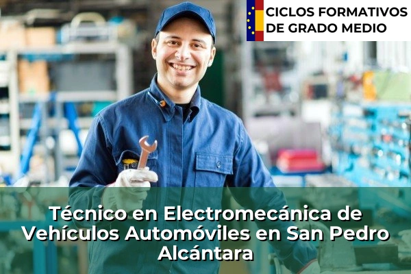 Técnico en Electromecánica de Vehículos Automóviles en San Pedro Alcántara