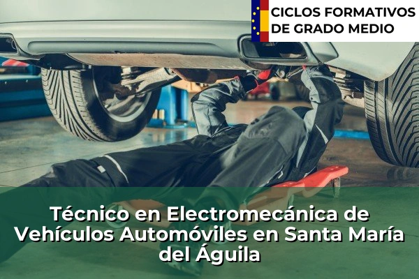 Técnico en Electromecánica de Vehículos Automóviles en Santa María del Águila