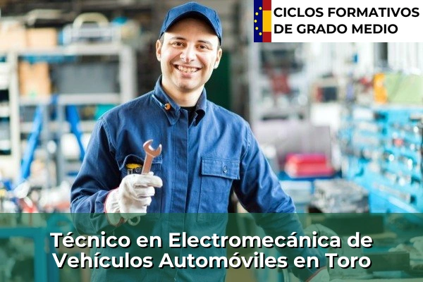 Técnico en Electromecánica de Vehículos Automóviles en León 114 Técnico en Electromecánica de Vehículos Automóviles en Toro