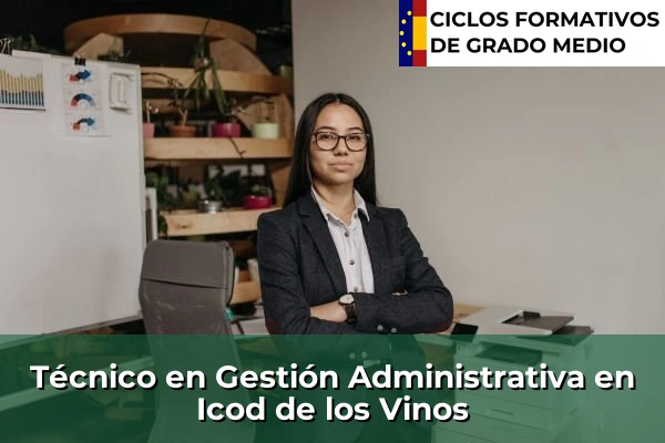 Técnico en Gestión Administrativa en Icod de los Vinos