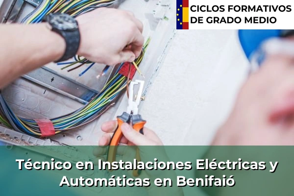 Técnico en Instalaciones Eléctricas y Automáticas en Benifaió