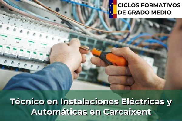 Técnico en Instalaciones Eléctricas y Automáticas en Carcaixent