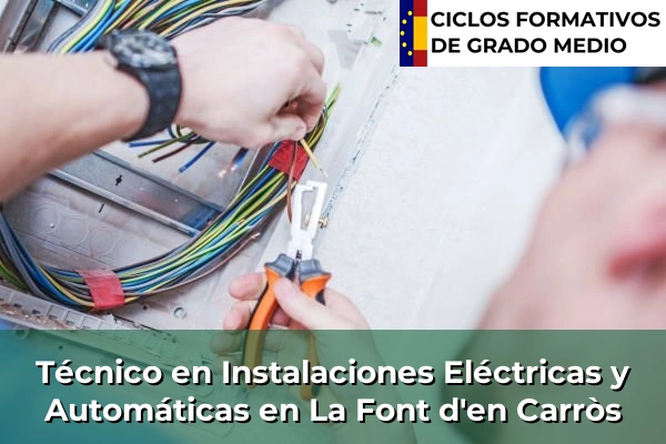 Técnico en Instalaciones Eléctricas y Automáticas en La Font d'en Carròs