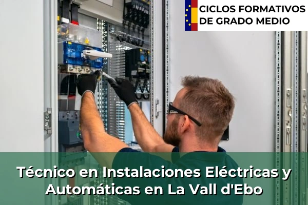Técnico en Instalaciones Eléctricas y Automáticas en La Vall d'Ebo