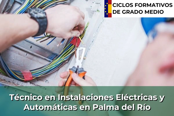 Técnico en Instalaciones Eléctricas y Automáticas en Lluc 68 Técnico en Instalaciones Eléctricas y Automáticas en Palma