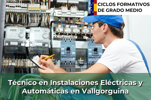 Técnico en Instalaciones Eléctricas y Automáticas en Vallgorguina