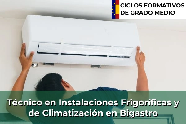 Técnico en Instalaciones Frigoríficas y de Climatización en Bigastro