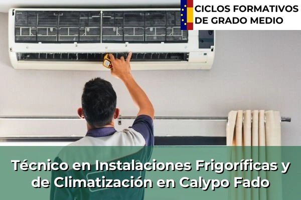Técnico en Instalaciones Frigoríficas y de Climatización en Castilla-La Mancha 15 Técnico en Instalaciones Frigoríficas y de Climatización en Calypo Fado