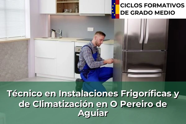 Técnico en Instalaciones Frigoríficas y de Climatización en O Pereiro de Aguiar
