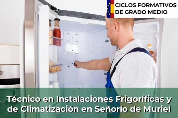 Técnico en Instalaciones Frigoríficas y de Climatización en Castilla-La Mancha 66 Técnico en Instalaciones Frigoríficas y de Climatización en Señorío de Muriel