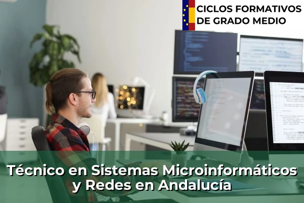 Técnico en Sistemas Microinformáticos y Redes en Andalucía