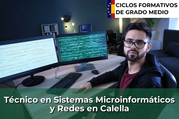 Técnico en Sistemas Microinformáticos y Redes en Calella