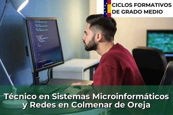 Técnico en Sistemas Microinformáticos y Redes en Colmenar de Oreja