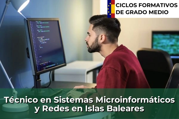 Técnico en Sistemas Microinformáticos y Redes en Islas Baleares