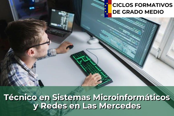 Técnico en Sistemas Microinformáticos y Redes en Las Mercedes