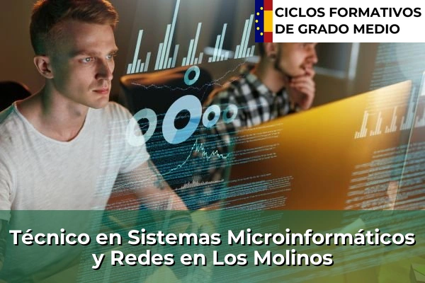 Técnico en Sistemas Microinformáticos y Redes en Los Molinos