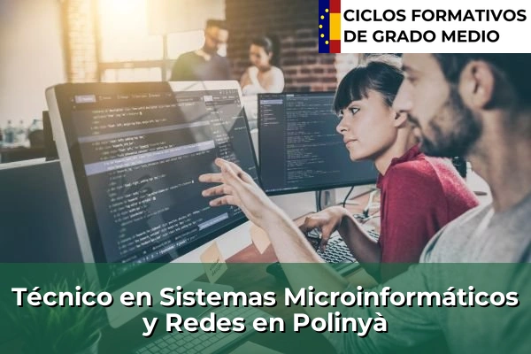 Técnico en Sistemas Microinformáticos y Redes en Polinyà