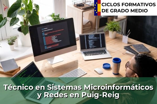 Técnico en Sistemas Microinformáticos y Redes en Puig-Reig