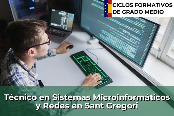 Técnico en Sistemas Microinformáticos y Redes en Sant Gregori